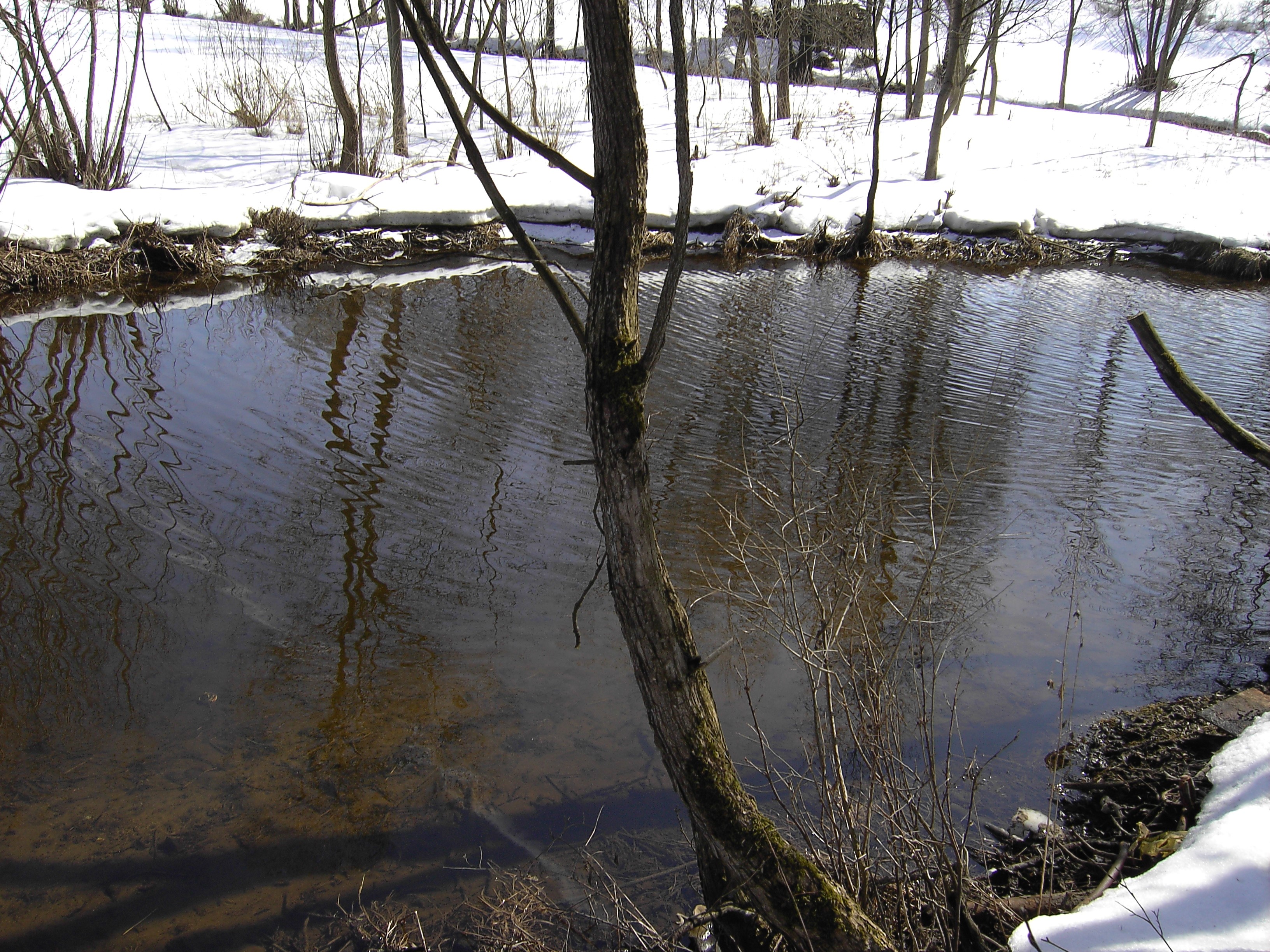 Pfai-Tümpfl bei Riglasreuth